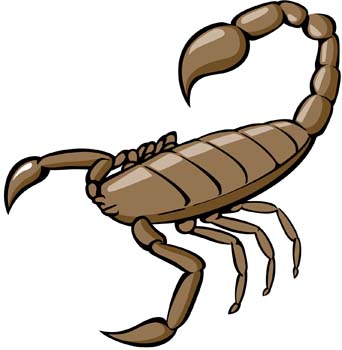 scorpion clipart 