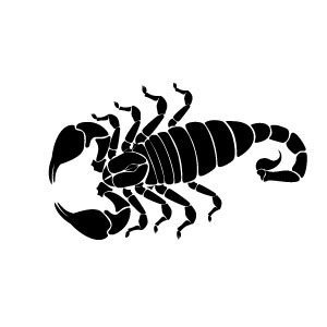 Scorpion Clipart