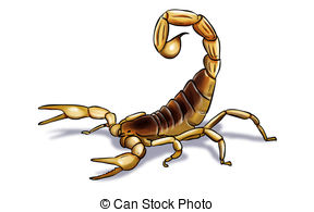 ... scorpion - Digital illustration of an scorpion inked scorpion Clipartby ...