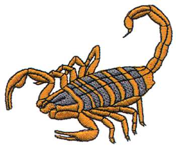 Scorpion more clipart