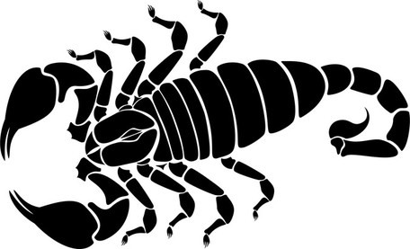 Scorpion - Scorpion Clip Art
