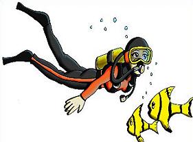 scuba diver and fish