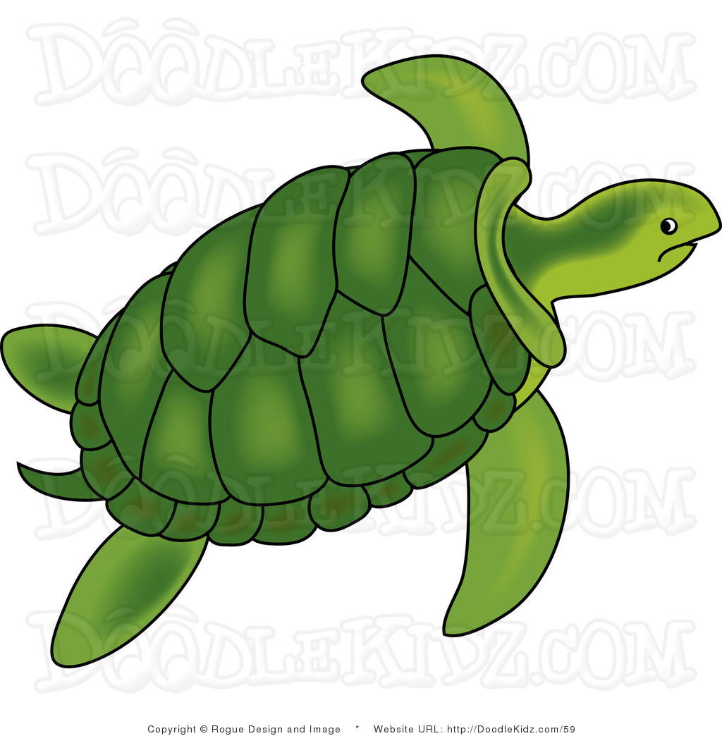 Turtle clip art 3