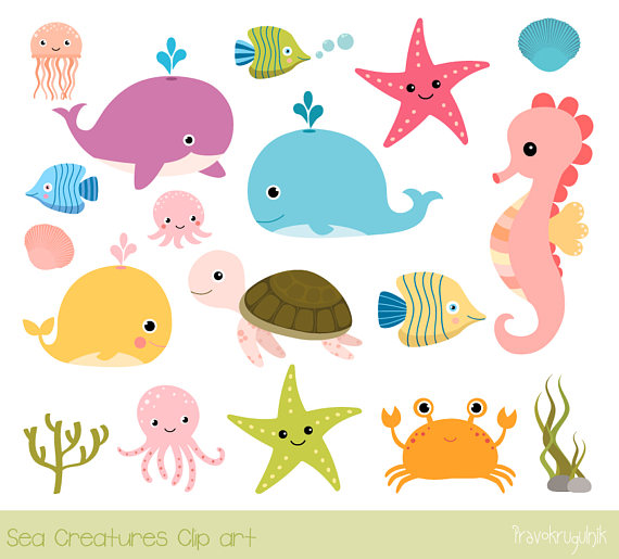 Sea animal clip art, Under the sea clipart, Seahorse whale clip art turtle  , Ocean animal clipart, Octopus clipart jellyfish, Commercial use