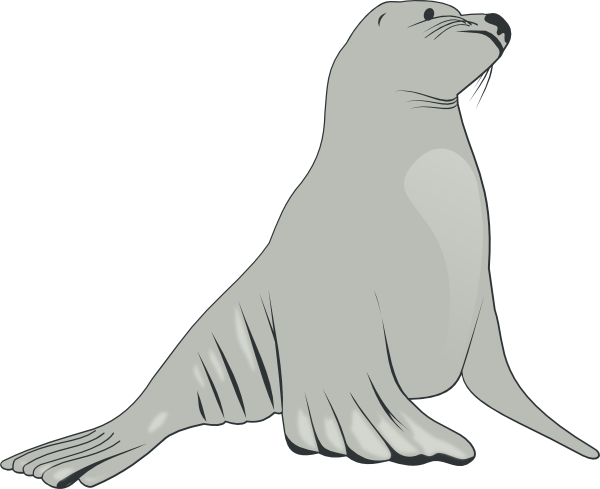 Sea Lion Clip Art