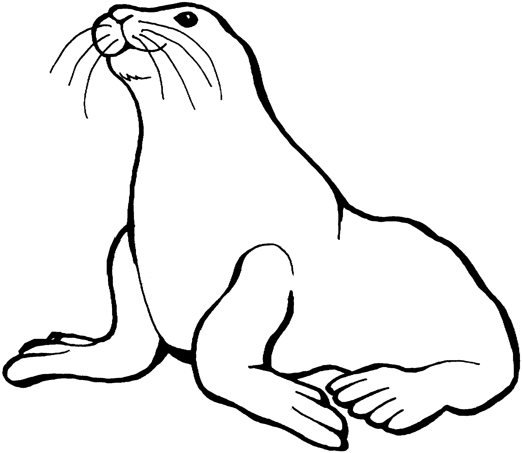 Sea Lion clip art free vector