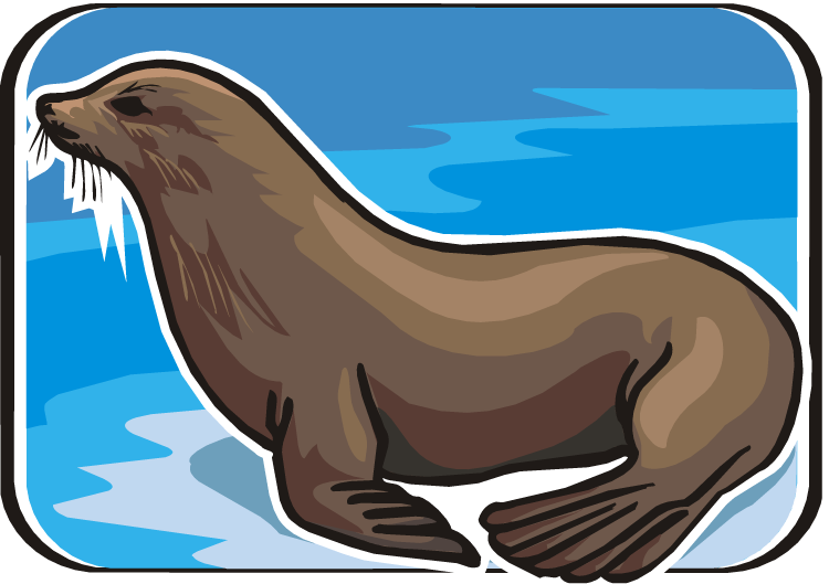 Sea Lion - Sea Lion Clip Art