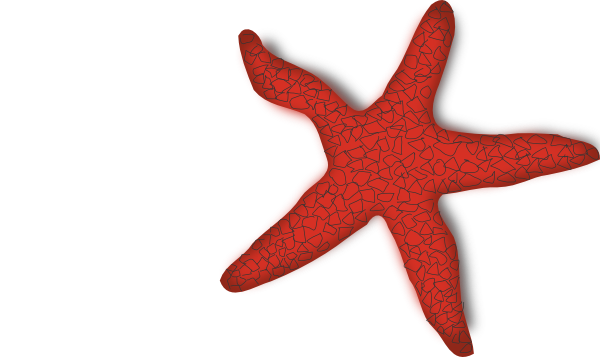 Sea Star Clip Art | Clipart l - Sea Star Clipart