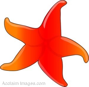 Star fish clip art - .