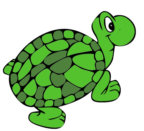 Turtle clip art free vector