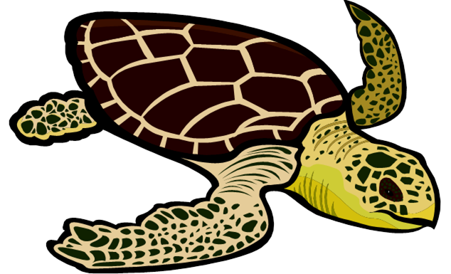 sea turtle clip art
