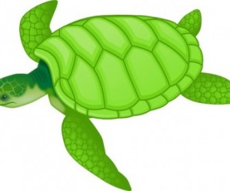 Vector Green Sea Turtle Vector Clip Art