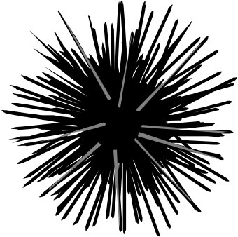 sea urchin: Cartoon sea urchi