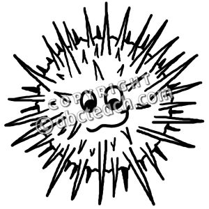 Sea urchin clipart - . - Sea Urchin Clipart