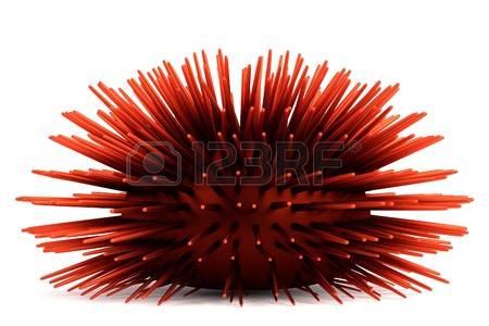 sea urchin: realistic 3d render of sea urchin Stock Photo