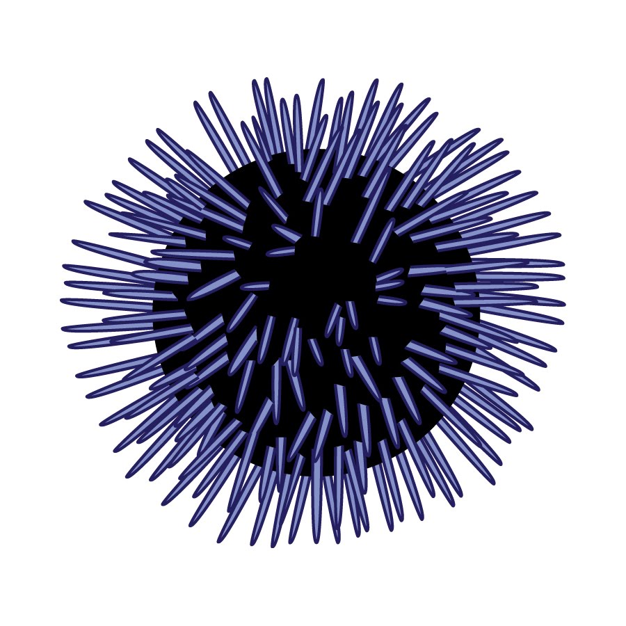 sea urchin: Cartoon sea urchi