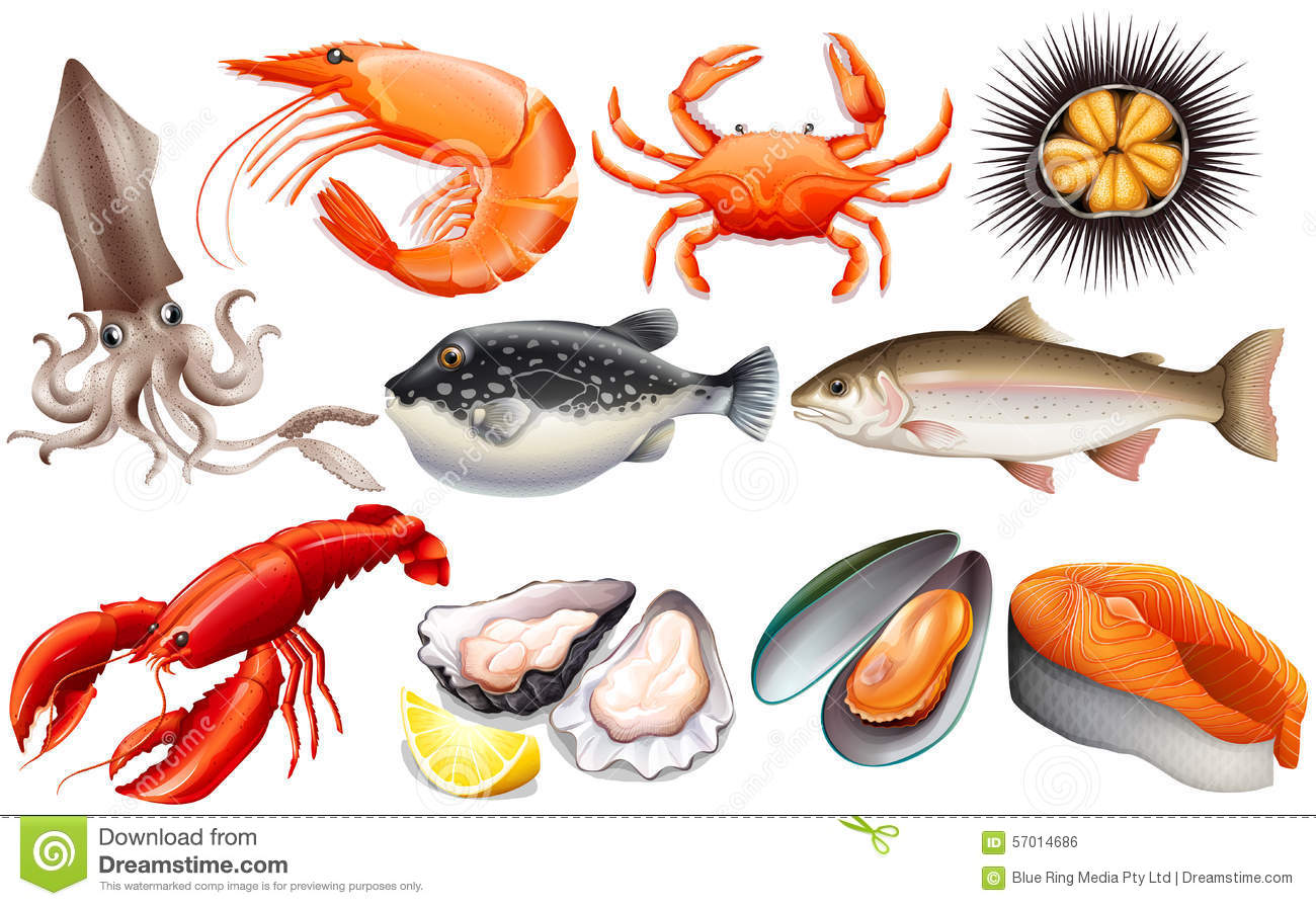 Seafood Clipart Image
