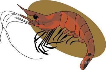 Seafood Clipart Seafood 11 Classroom Clipart