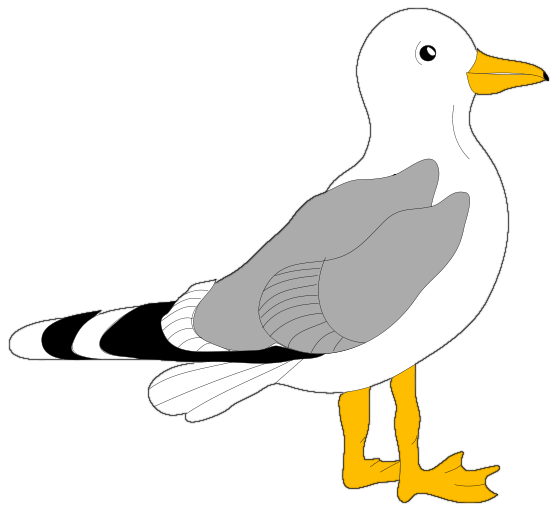seagull clipart - Seagull Clip Art
