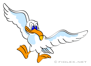 Seagull vector 5; Seagull vec