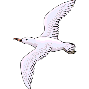 Little seagull free clip art