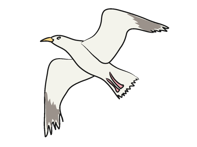 Seagull Clipart - Seagull Clip Art