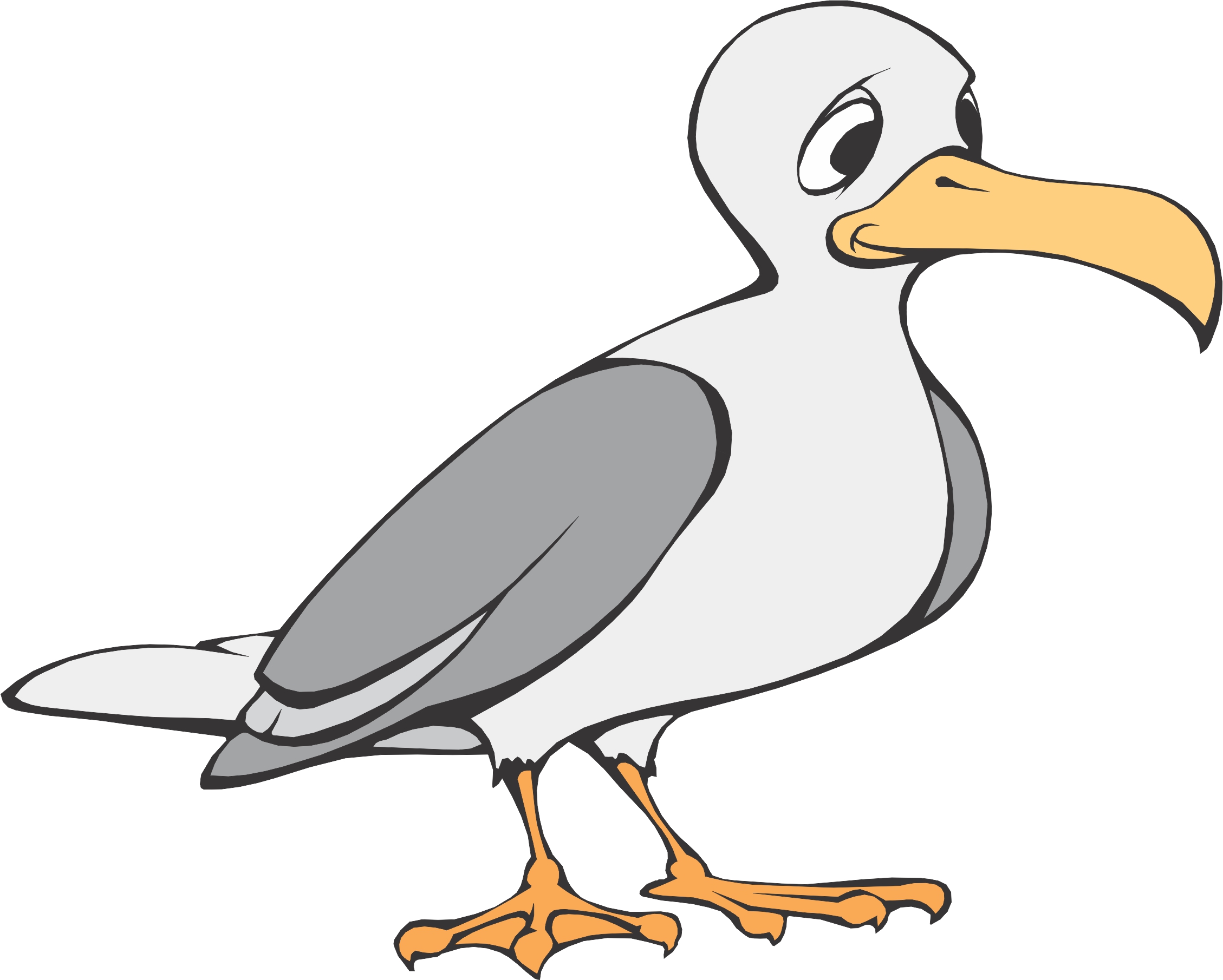 Seagull clipart free images 3