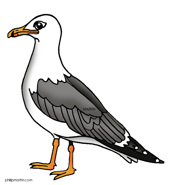 Clipart - flying seagull. Fot