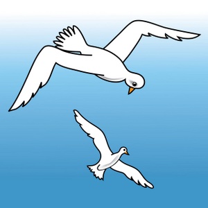 Seagulls Clipart Image Seagulls Flying Over The Ocean Water Looking