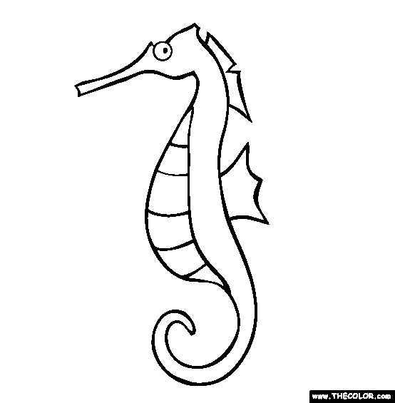 seahorse clipart black and white