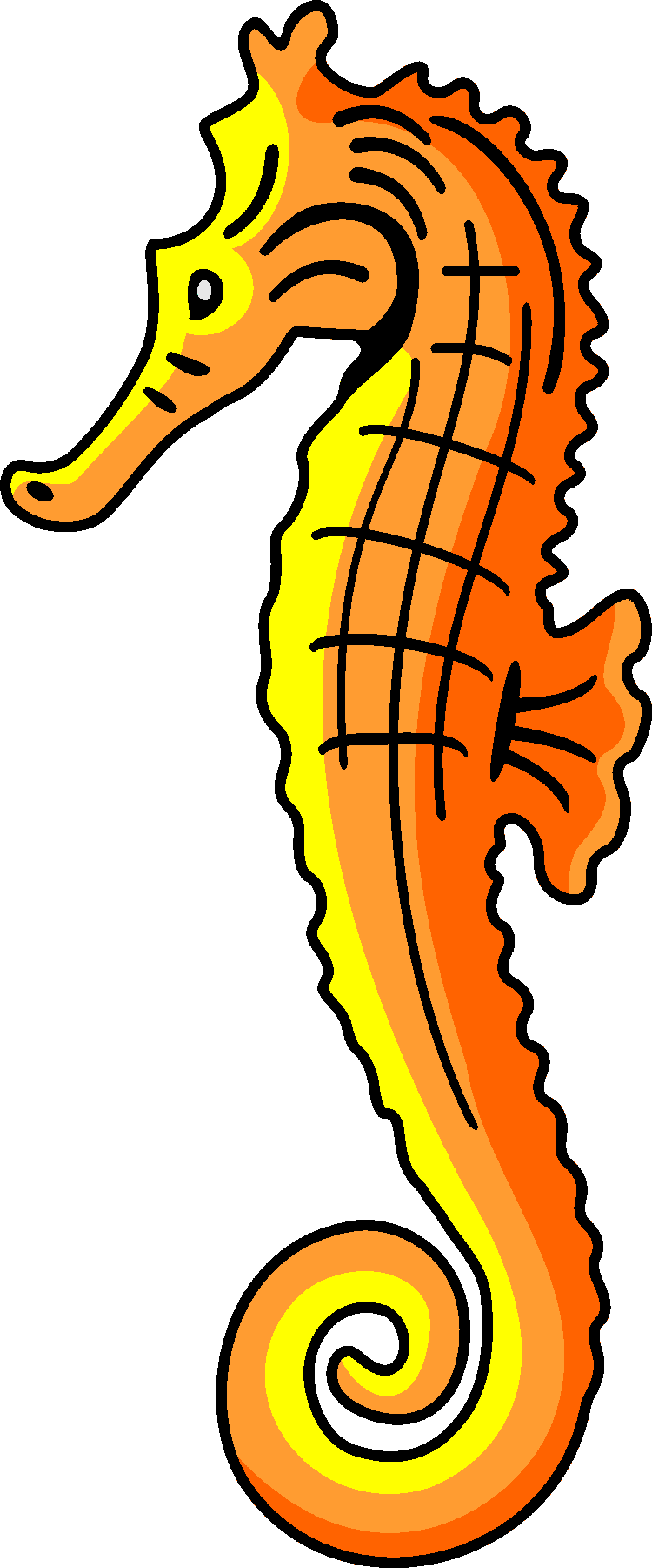 Seahorse on seahorses seahorse drawing and seahorse clip art .