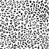 seamless animal skin pattern u0026middot; Leopard seamless pattern