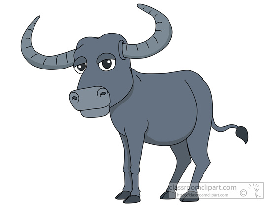 Buffalo clipart buffalomale i