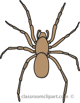 Search results search results for spider clipart pictures
