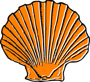 Seashell clip art free printa - Sea Shell Clipart