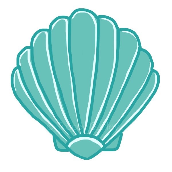 Seashell clip art sea shells  - Seashell Clipart