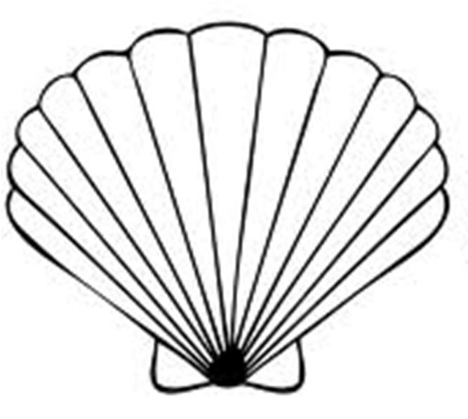 Seashell clipart black and white free clipart images 2