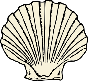 Seashell clipart black and white free clipart images 3