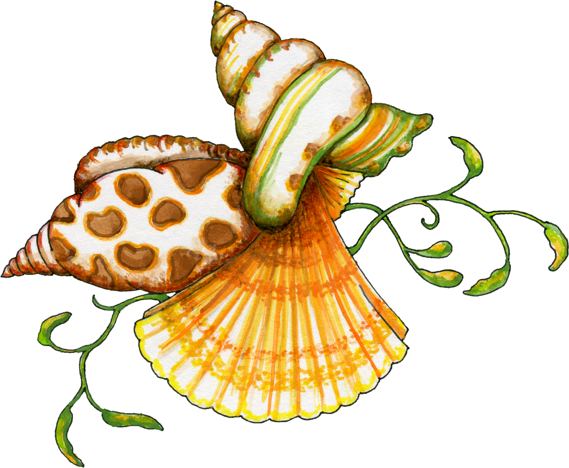 seashell clipart - Seashell Clipart Free