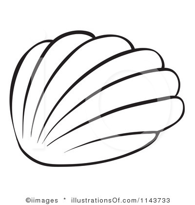 Seashell clip art sea shells 