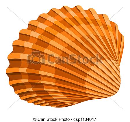 ... Seashell - illustration o - Sea Shell Clipart