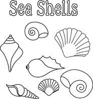 seashells poster black white outline clipart. Size: 88 Kb