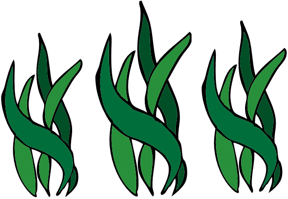 Vector - cartoon seaweed
