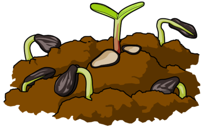Soil Clipart Hand Holding A S