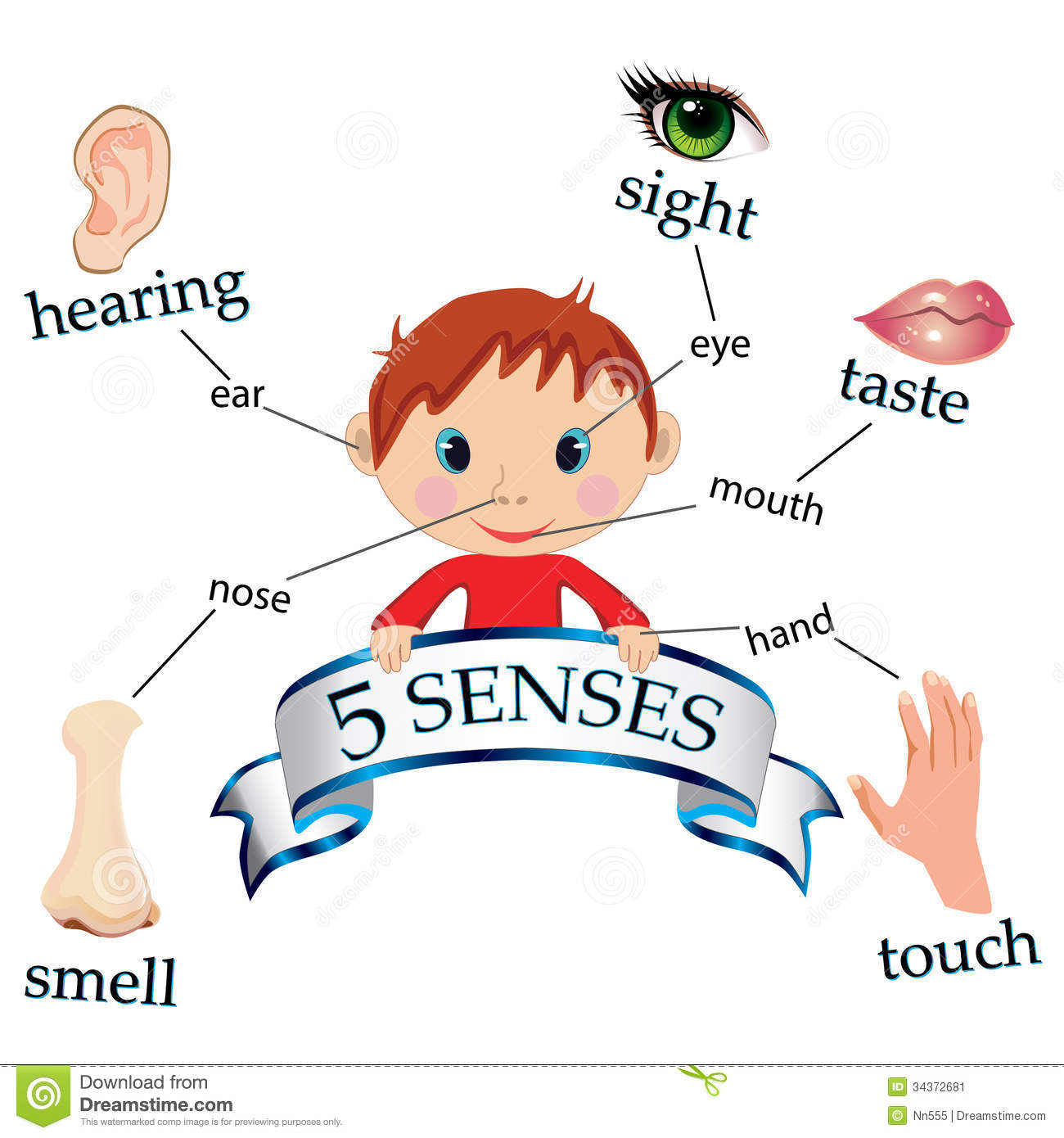 ... Five senses icon set - Ve