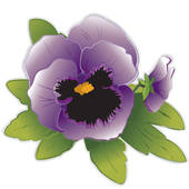 Set of gentle floral u0026middot; Lavender Pansy Flowers