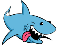 ... Shark - Great white shark