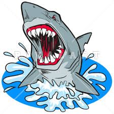 shark clipart - Google Search