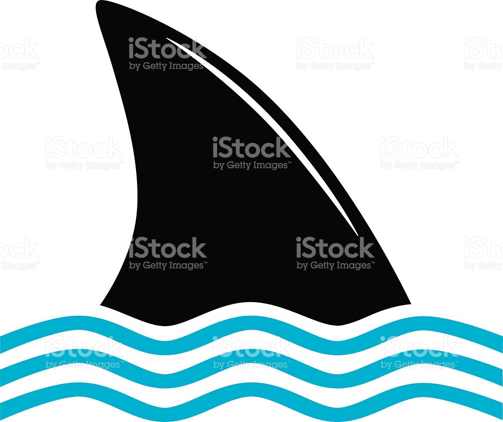 Shark Fin icon vector art illustration