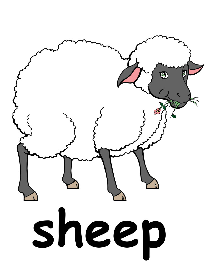 Sheep clipart 2 - Sheep Clipart